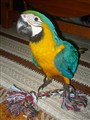 091230 (12).jpg