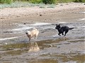 20230526_155442.jpg