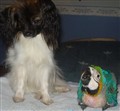 8veckor 091127.JPG