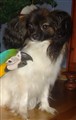 DSC00043.jpg