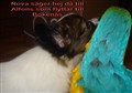 DSC00046.jpg