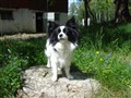 DSC00216.JPG