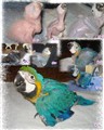 collage 1-8v.jpg