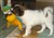 DSC00047.jpg